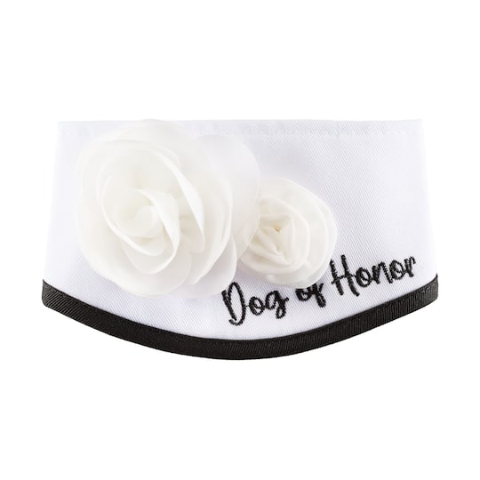 Best Furry Friends Dog of Honor Floral Collar
